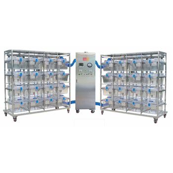 CR-20x2 PC Система индивидуально вентилируемых клеток для морских свинок 3W Fengshi
