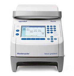 Mastercycler nexus Амплификатор Eppendorf