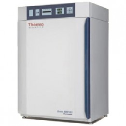 Инкубатор-CO2 8000 WJ 3429 Thermo Fisher Scientific
