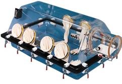 Перчаточный бокс Basic 818-GBB/EXP Plas-Labs, inc.