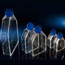 Флаконы NUNC EasyFlask Nunclon ∆ 25мл фильтр. Thermo Scientific Nunc
