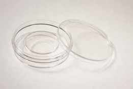 Чашка с Центральной Лункой для ЭКО Thermo Scientific Nunc