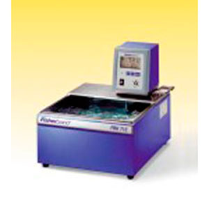 Термостат FBH 606 циркуляционный Thermo Fisher Scientific